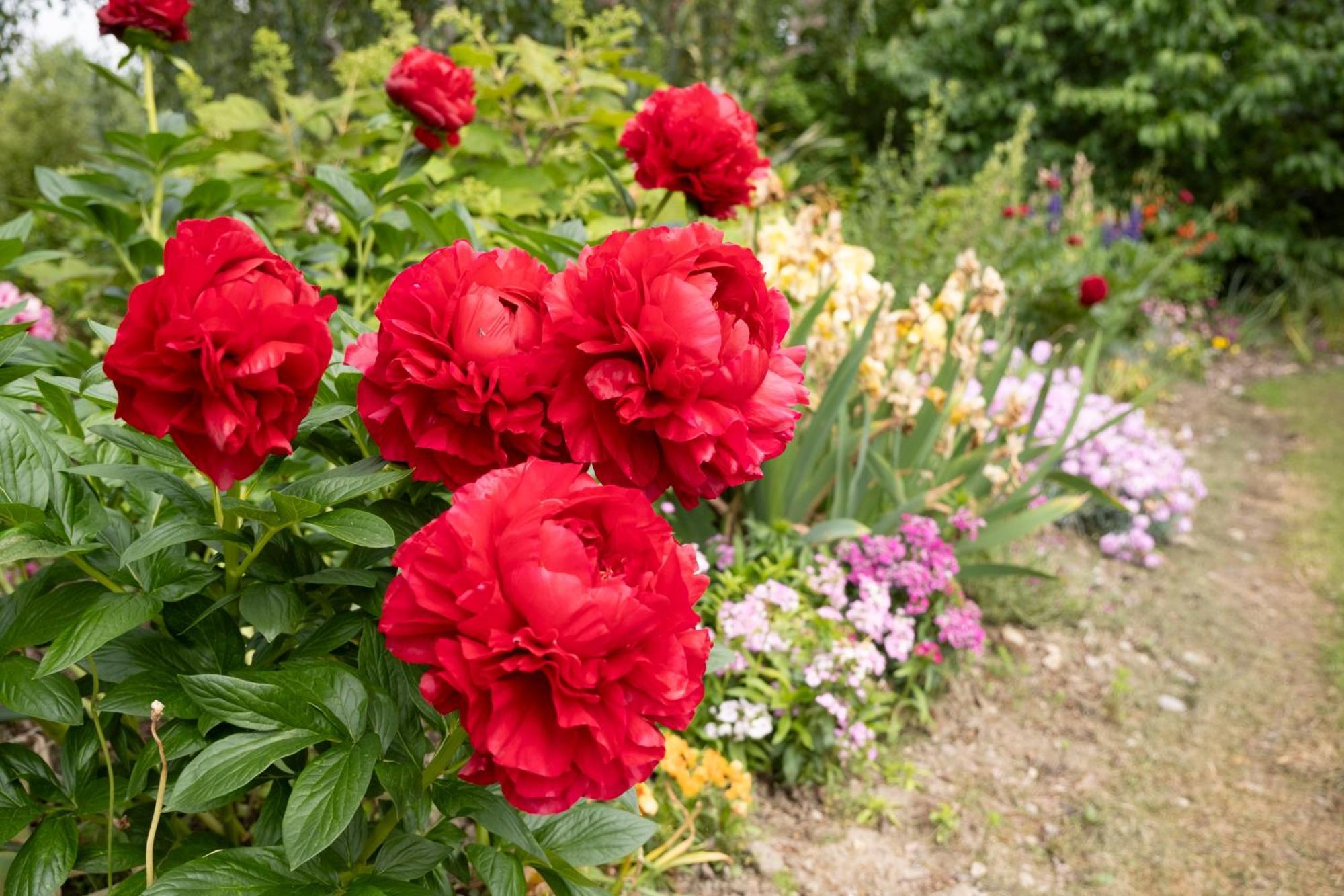 Benger Garden
